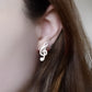 Melody in Zirconia Earrings