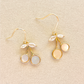 Coastal Cherry Earrings